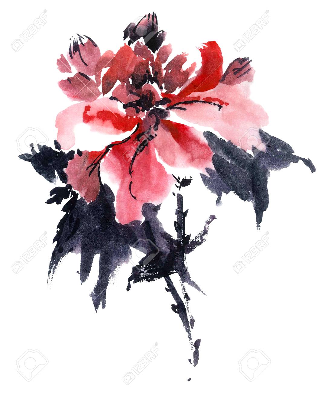 桜の花の水彩 インクのイラスト Gohua 墨絵 絵 U 罪 の写真素材 画像素材 Image