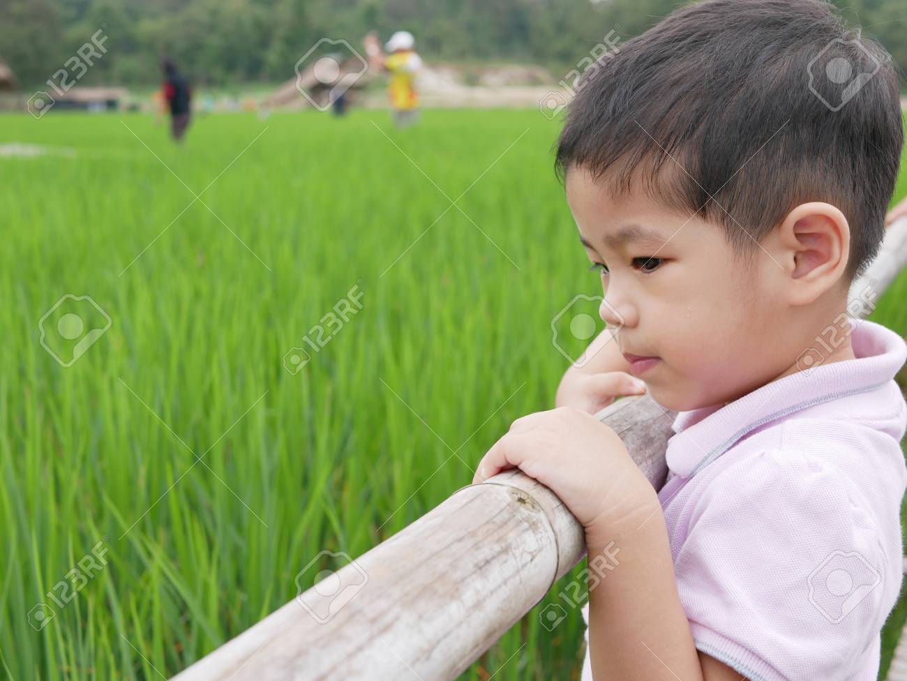 Asian Baby Is Being Facinated And Enjoying Looking At Green Rice Trees Learning Through A Field Trip Helps Immersing The Baby Into Education Naturally And Effectively Stock Photo Picture And Royalty