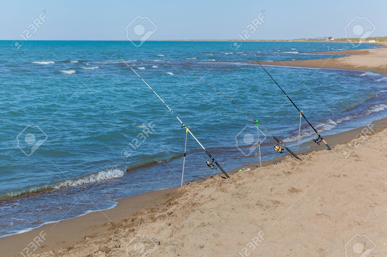 beach rod stand