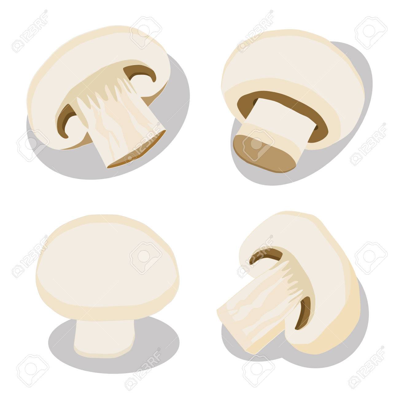 Mushroom Champignon Royalty Free Cliparts Vectors And Stock Illustration Image