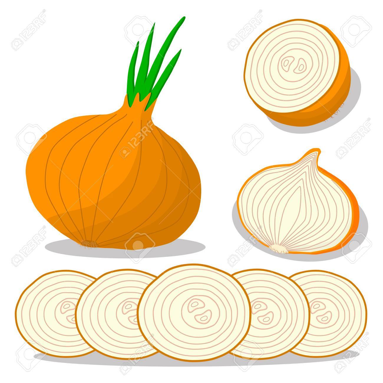 丸ごと完熟野菜の玉ねぎ スライス カット 緑の茎とラウンドのベクトル図のロゴを抽象化します タグ ラベル弓から成る玉ねぎ図面は果物の皮をむく 熟した甘い食べ物を Pip します 新鮮な玉ねぎの健康を食べる のイラスト素材 ベクタ Image