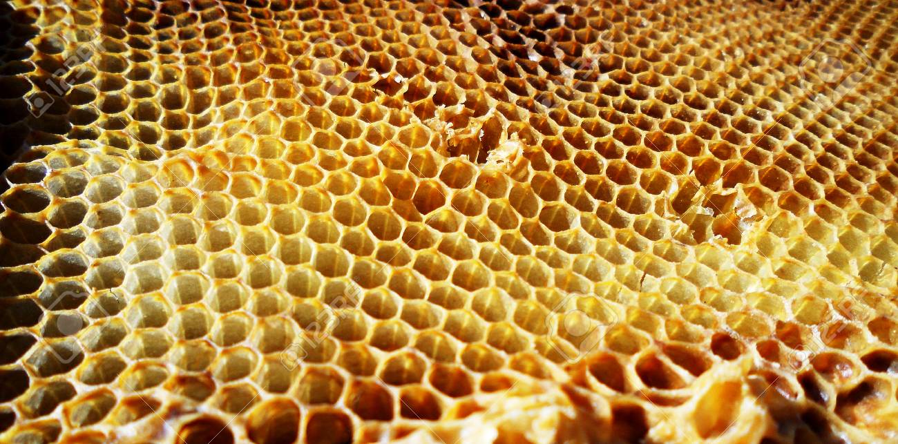 the photo shows beehive honey nectar hive swarm bees honeycomb