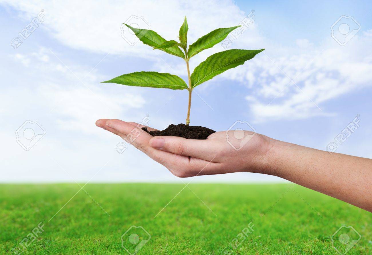 「植物 画像　人体」の画像検索結果