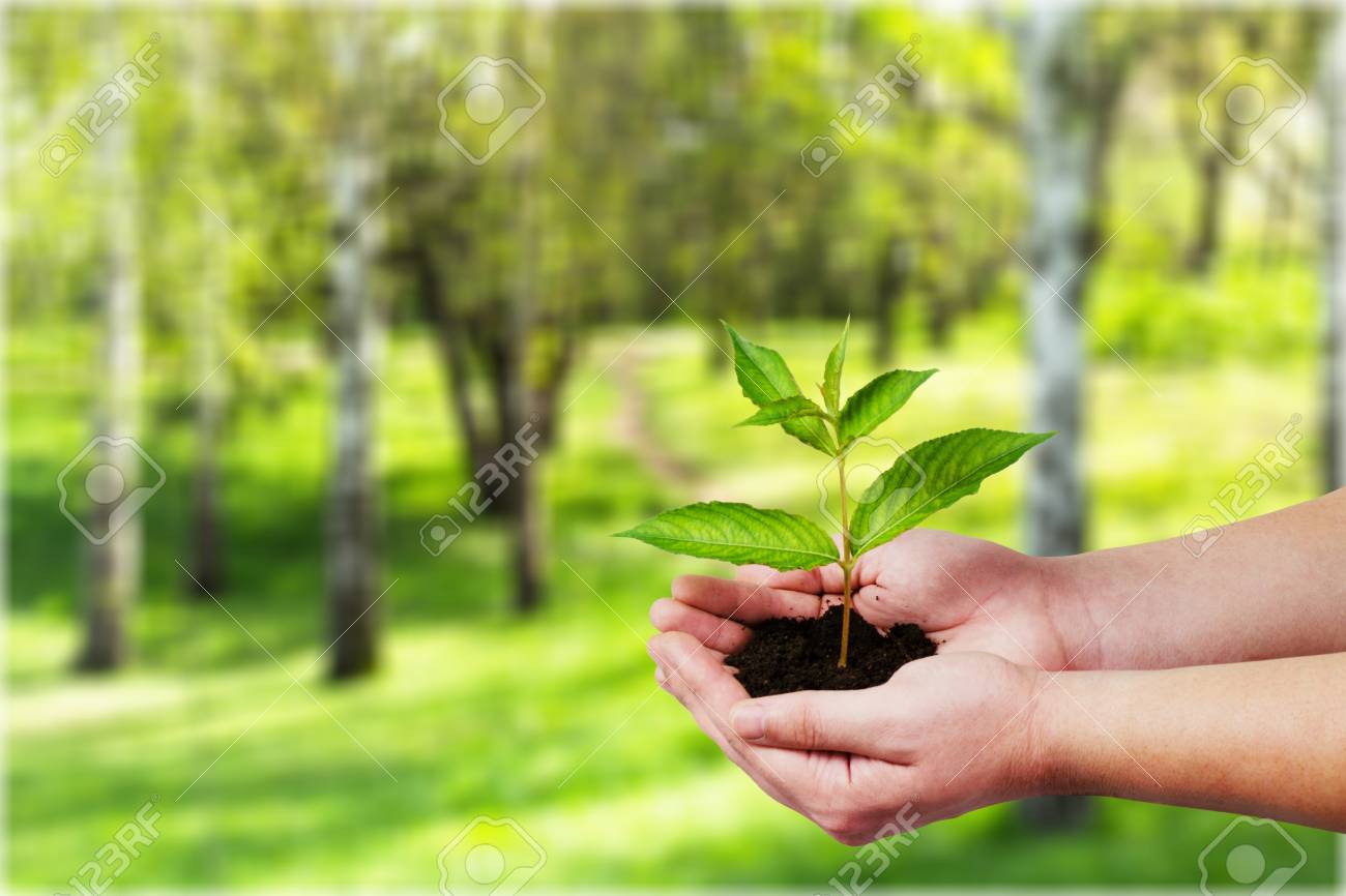 Caring For Nature Stock Photo Picture And Royalty Free Image Image