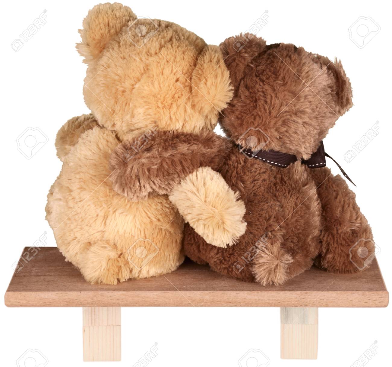 cutest teddy bears ever