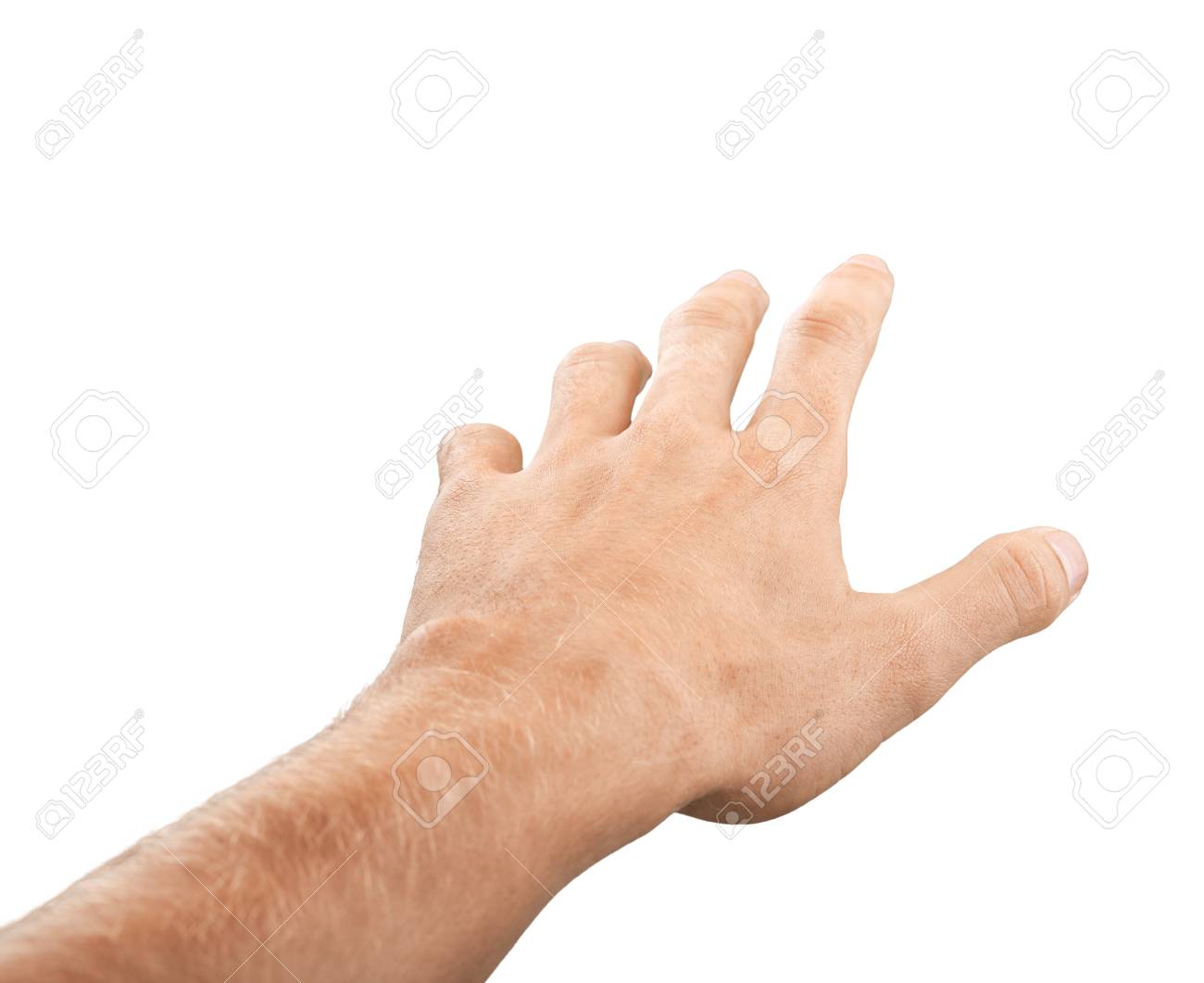 etiam-dictum-ipsum-a-felis