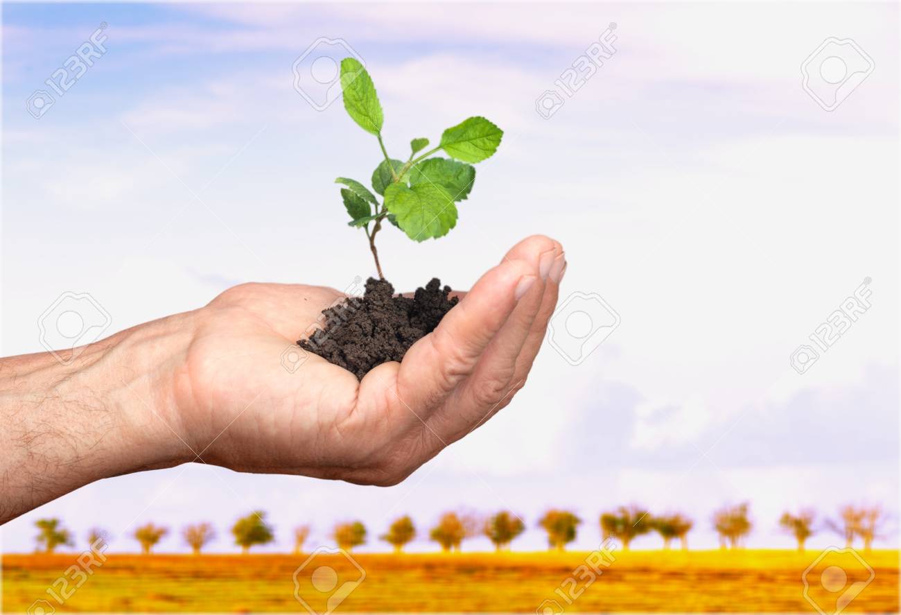 Caring For Nature Stock Photo Picture And Royalty Free Image Image