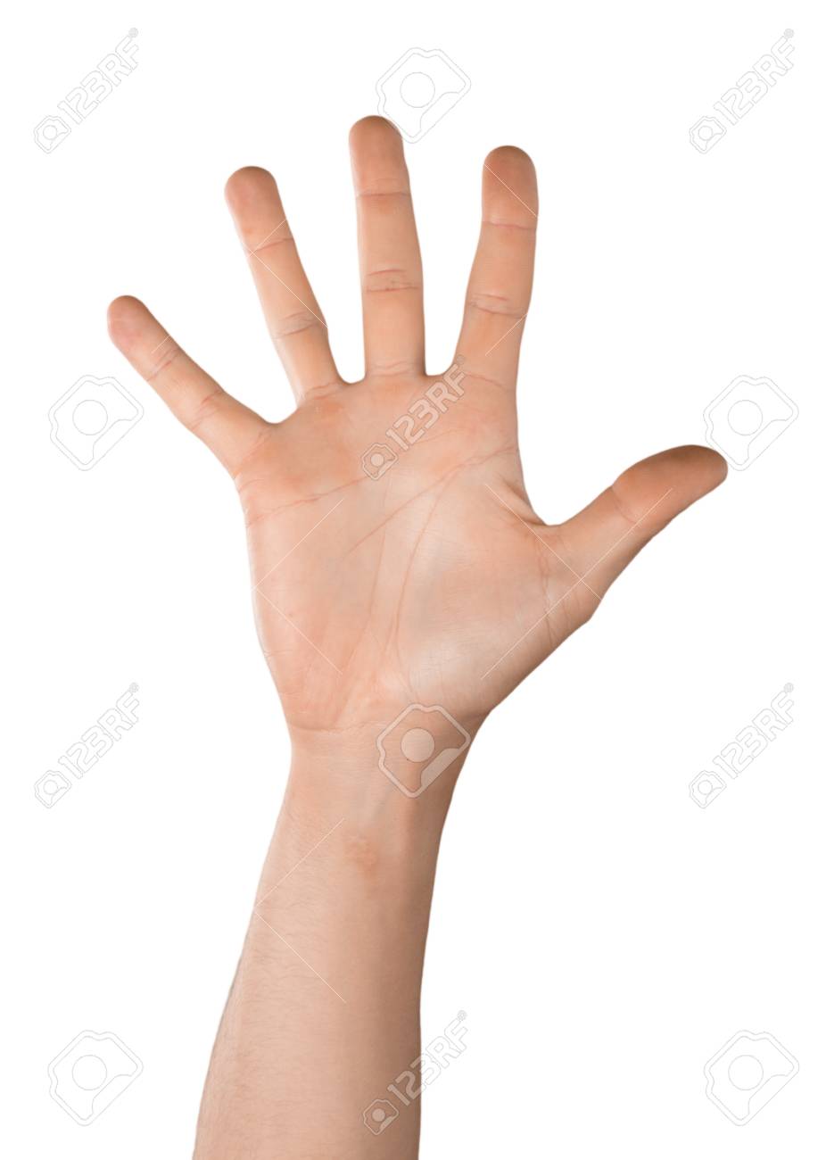 Raised Hand / Five Fingers Stock Photo, Picture And Royalty Free Image. Image 104626809.