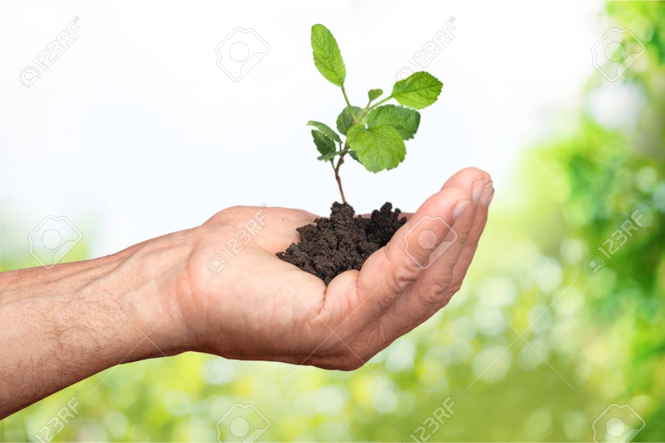 Caring For Nature Stock Photo Picture And Royalty Free Image Image