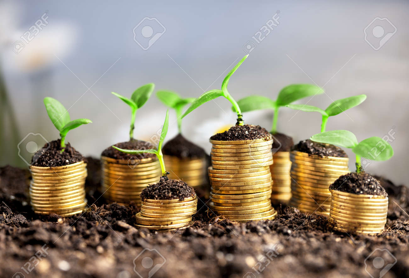 Coins in soil with young plants on background - 133653979 Coins in soil with young plants on background - 133653979