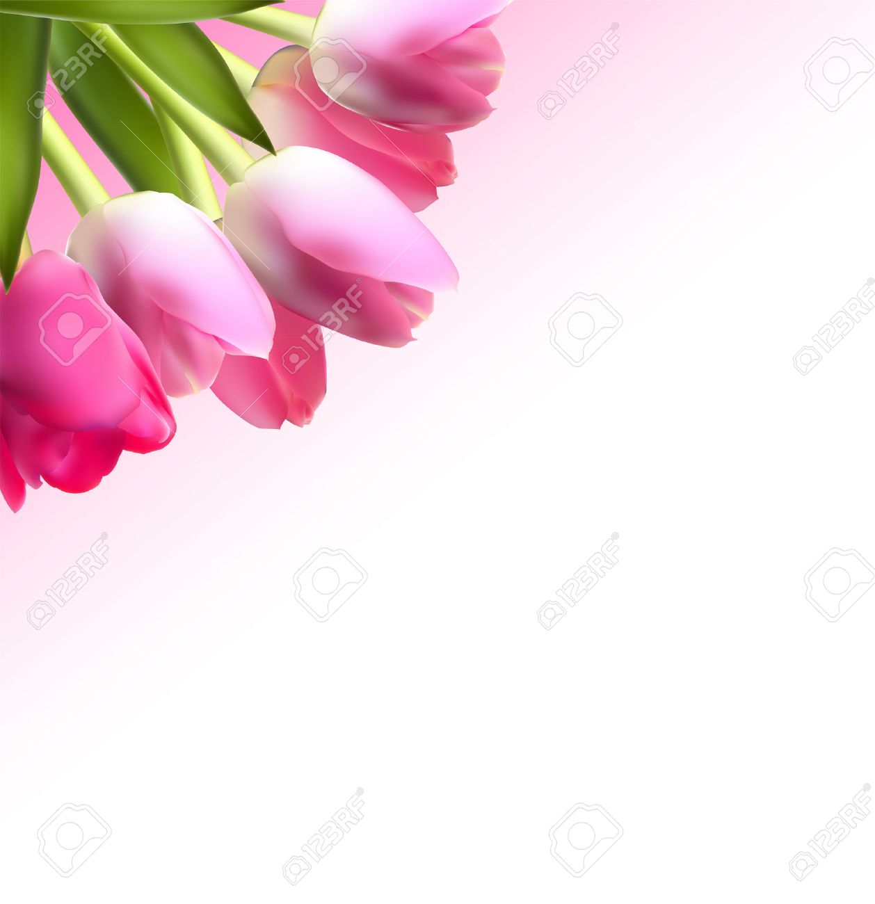 65 Gambar Vektor Bunga Tulip Paling Bagus 65 Gambar Vektor Bunga Tulip Paling Bagus
