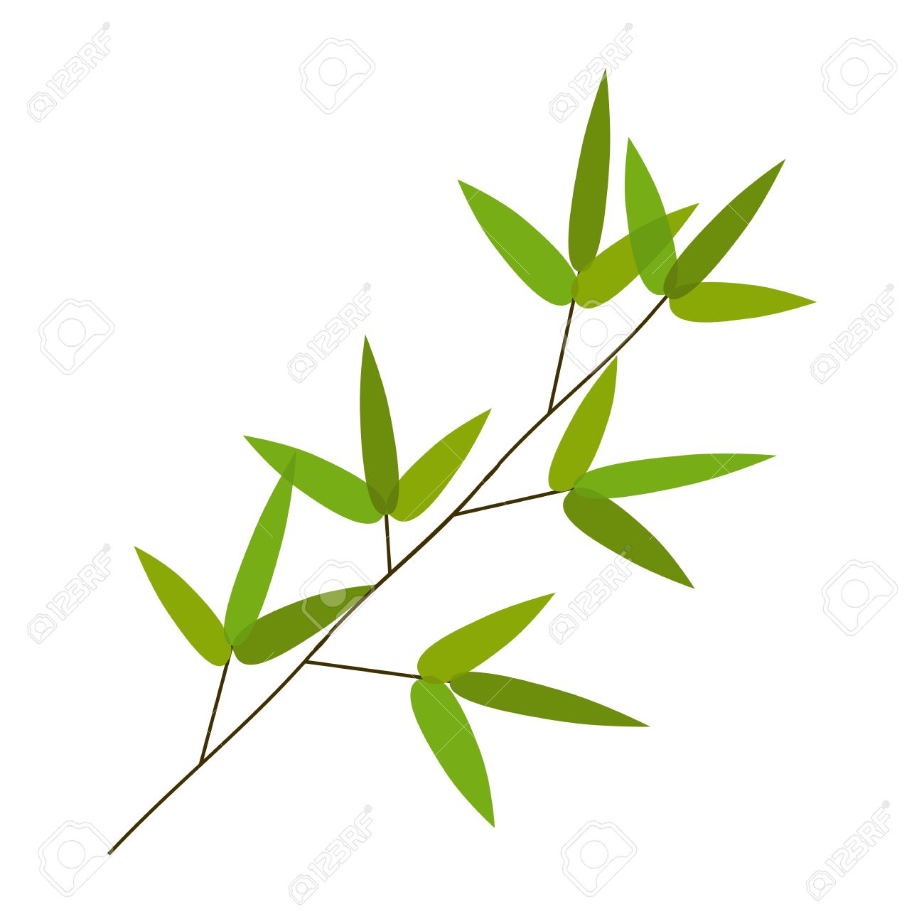 bamboo leaves vector illustration