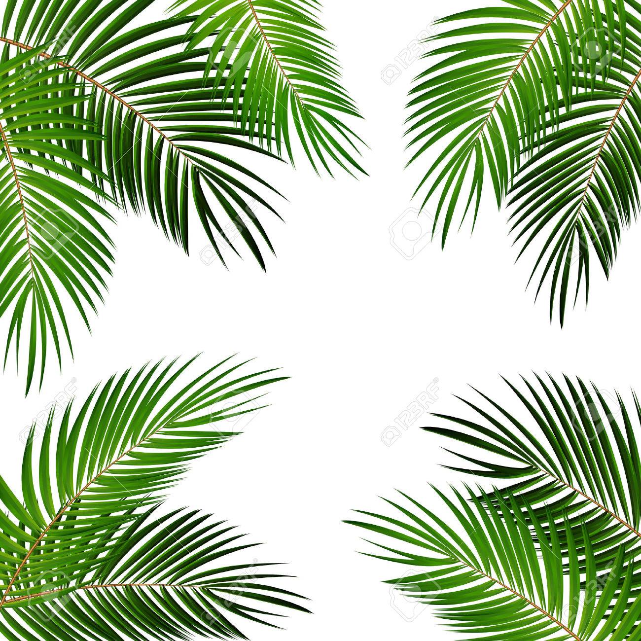 Leaf Background Leaves Vector Palm Leaves