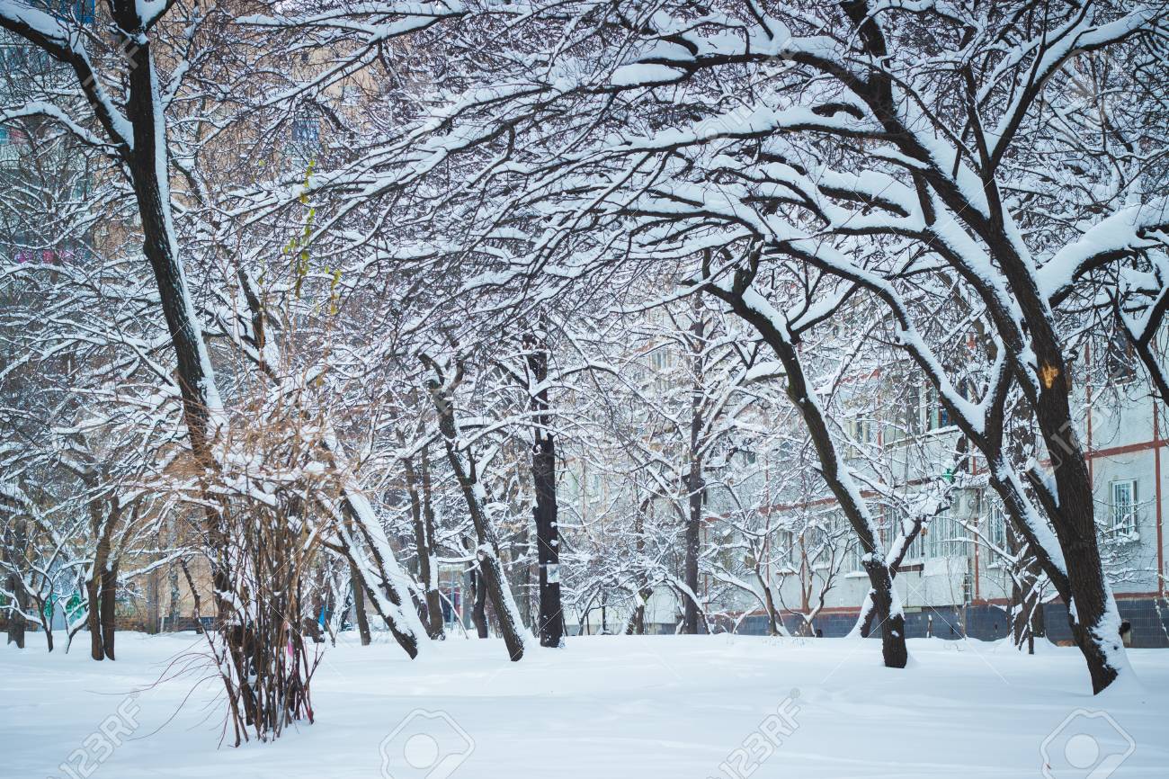 冬は年の非常に美しい季節 それを伝えていない言葉で 写真を表現することができます の写真素材 画像素材 Image