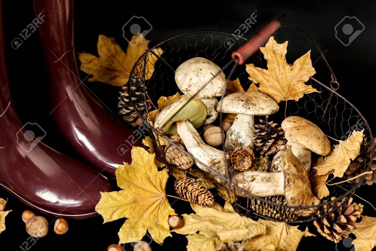 burgundy color boots