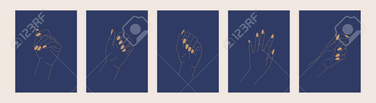 Hand drawn Beautiful Female hands. Line art. Vector - 152125899 Hand drawn Beautiful Female hands. Line art. Vector - 152125899