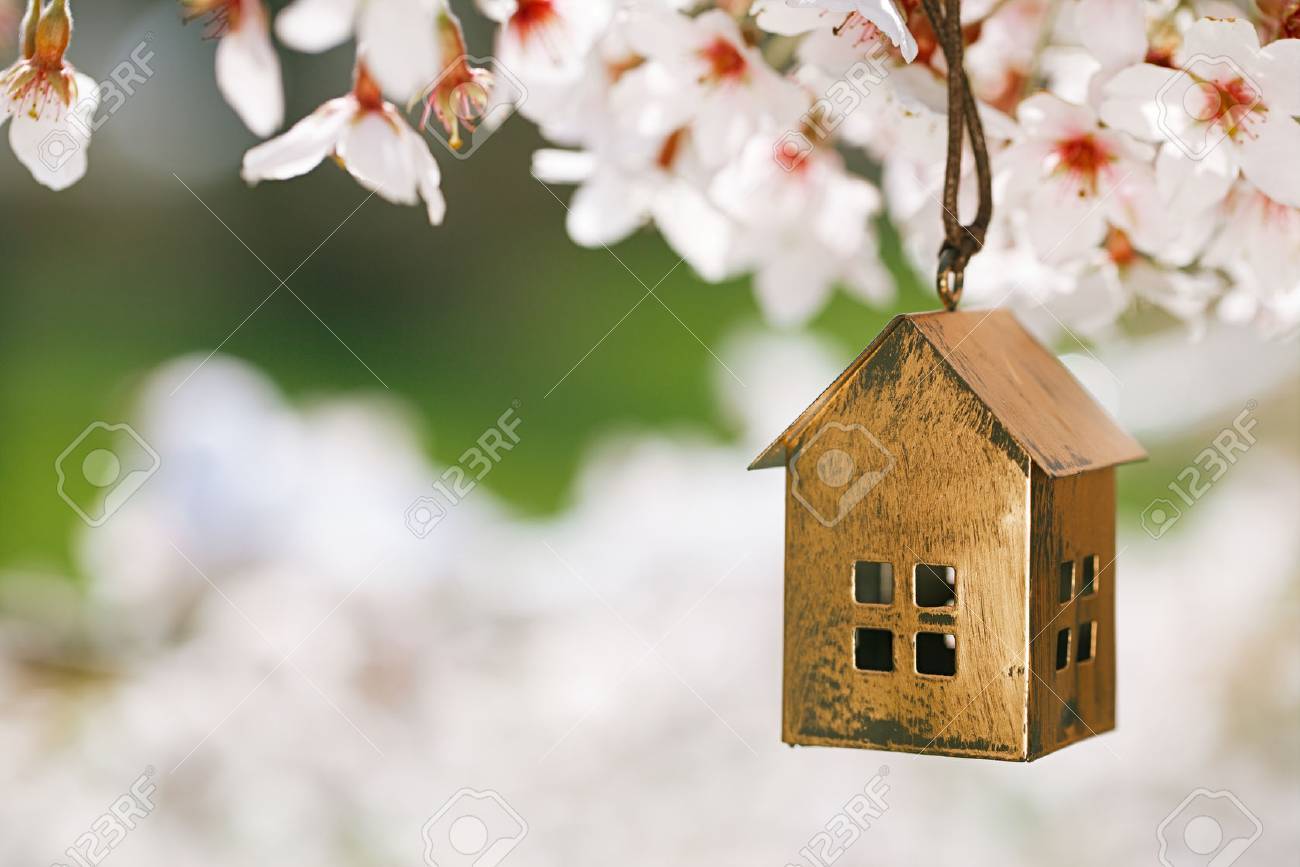 Kleines Haus Im Fruhjahr Mit Blute Kirsche Blume Sakura