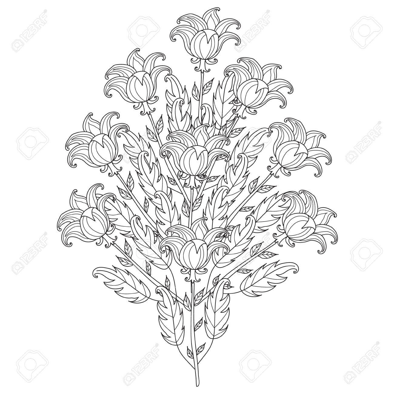 Dessinez Noir Et Blanc Flowervector Flowerstemplate Décoratif Pour Des Pages à Colorier Pour Les Adultes Coloriage Dook Un Bouquet De Fleurs Avec