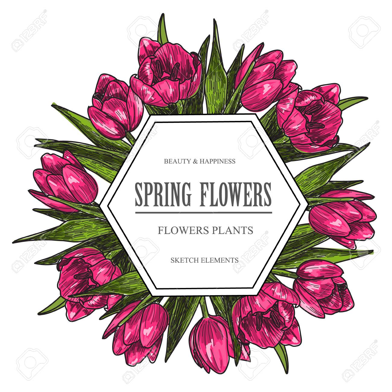 Vector Design Banner For Flower Shop And Floristic Shop With Hand Drawn Flowers  Illustration. Vintage Bouquet Sketch Background Royalty Free SVG, Cliparts,  Vectors, and Stock Illustration. Image 73212551., image size:1300x1300