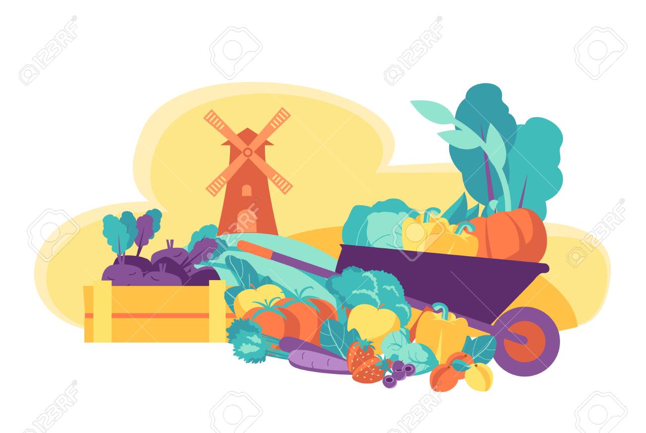 Eco friendly seasonal products. Fresh vegetables and fruits. - 140802642 Eco friendly seasonal products. Fresh vegetables and fruits. - 140802642