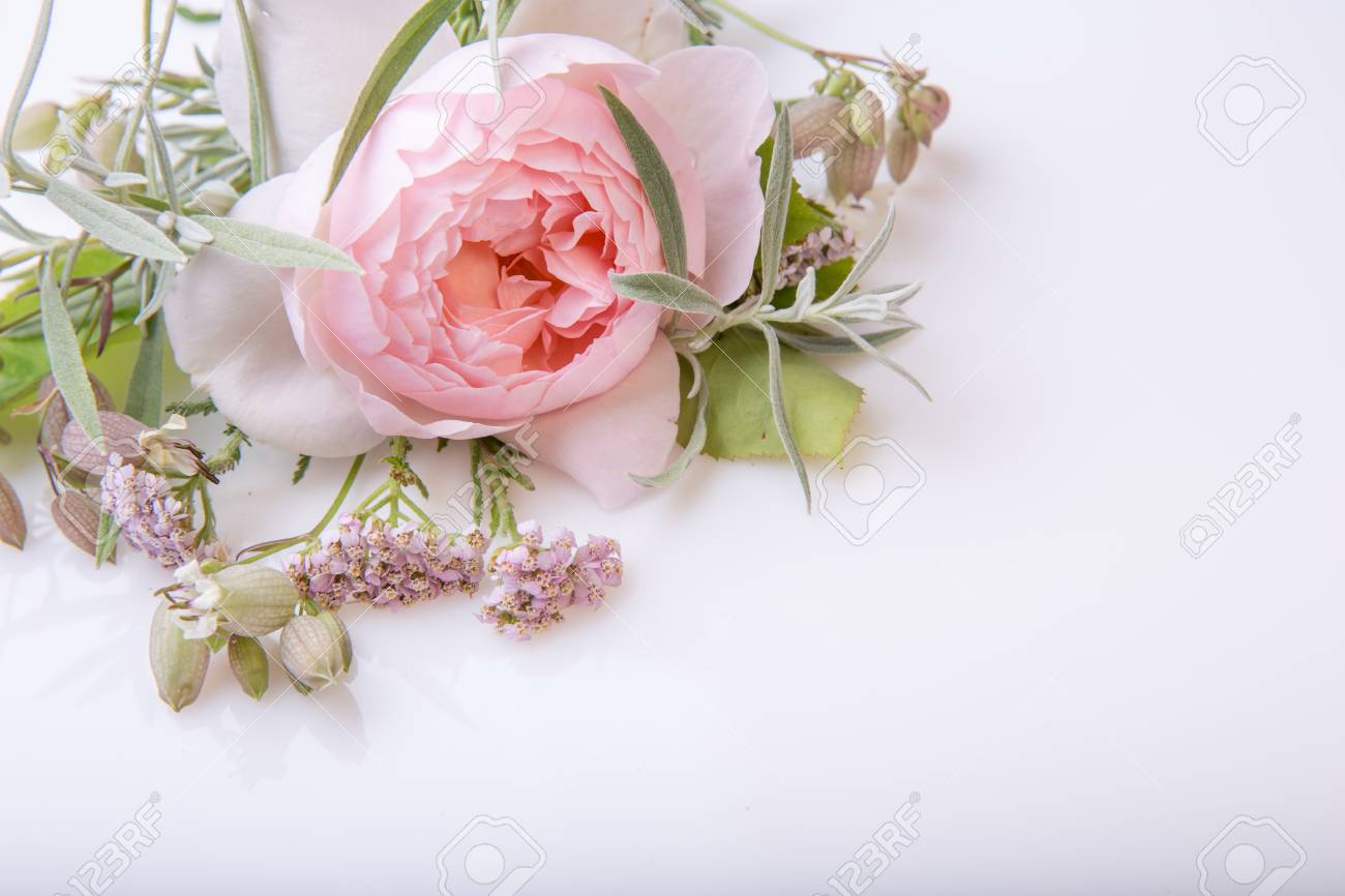 Beautiful English Rose Flower Bouquet On White Background