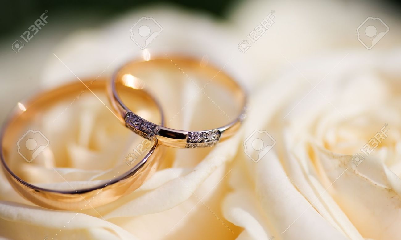 Two Golden Wedding Rings on flowers macro shot - 7925703 Two Golden Wedding Rings on flowers macro shot - 7925703
