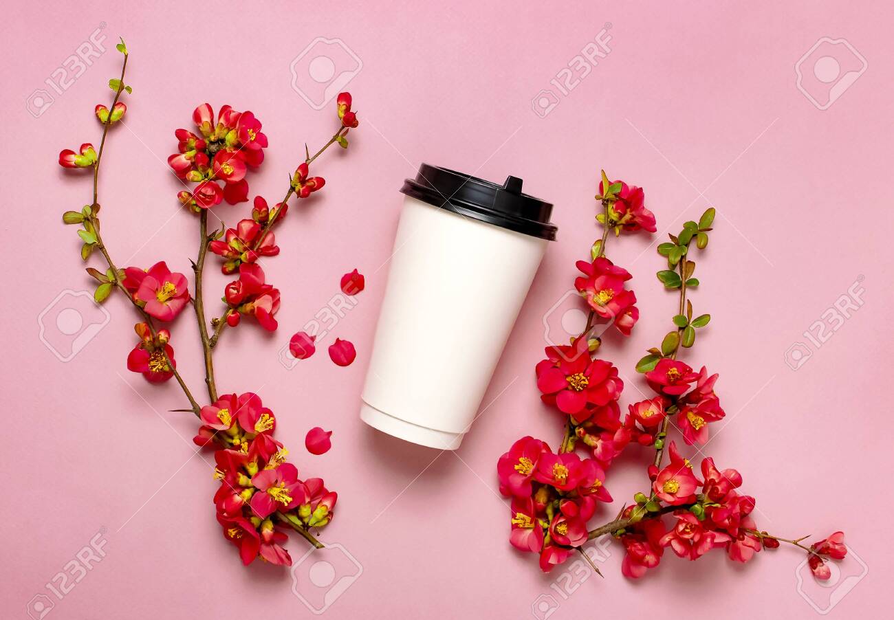 Coffee Or Tea Paper Cup Spring Branches Of Red Flowers On Pink Stock Photo Picture And Royalty Free Image Image 138731948