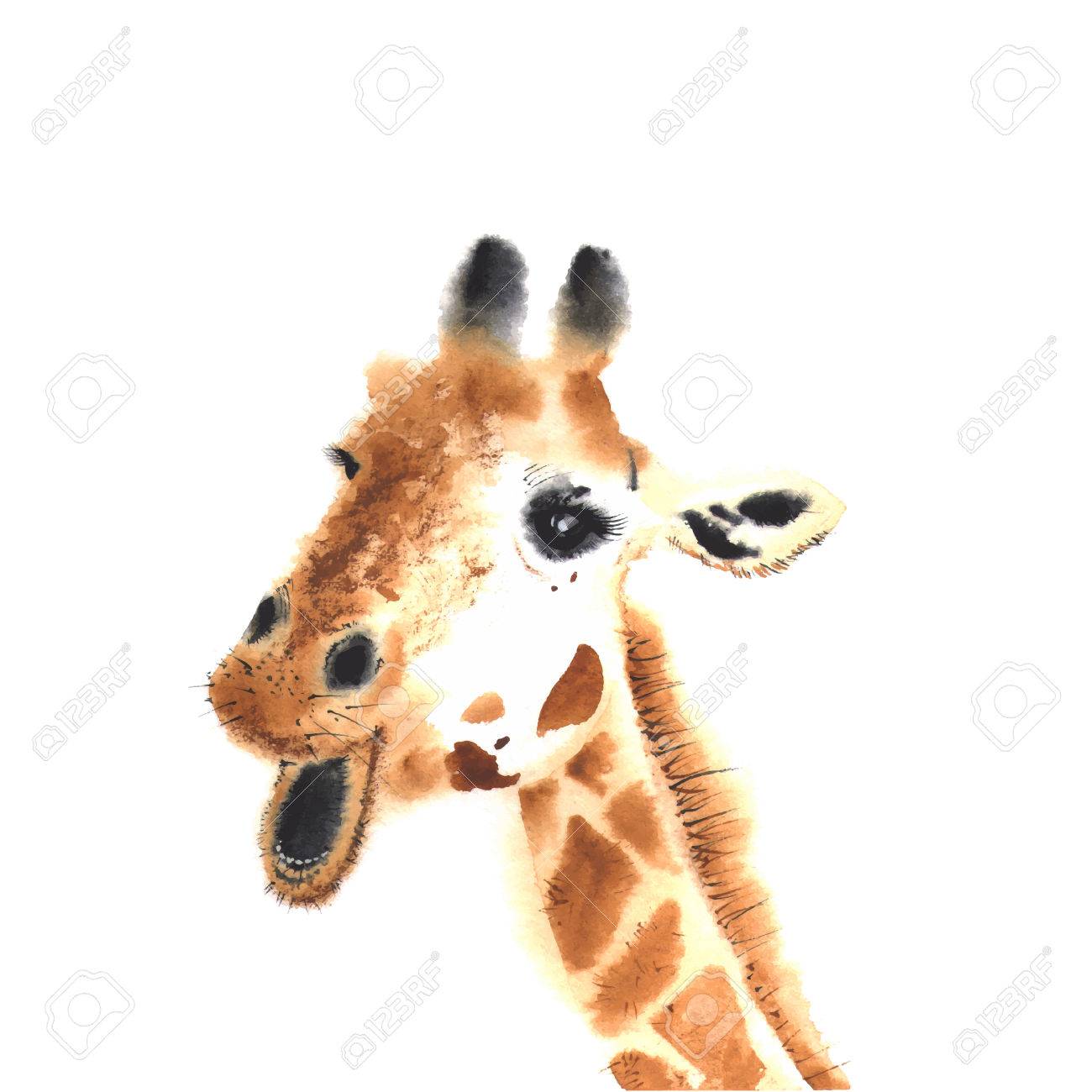 水彩のキリン クローズ アップ のイラスト素材 ベクタ Image