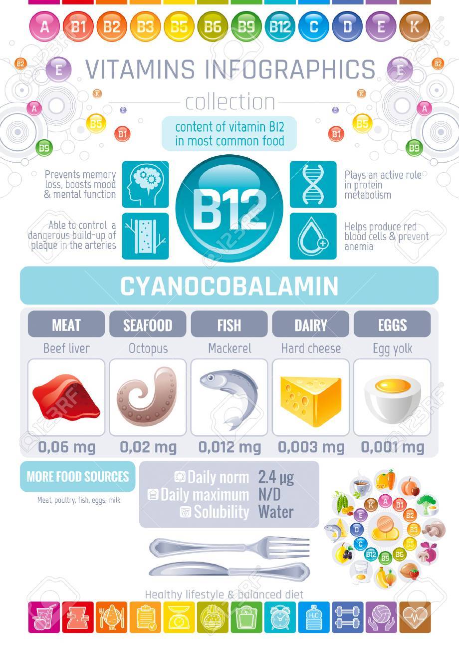 Alimentos altos en vit b12
