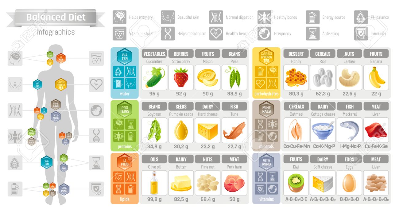 Dieta con carbohidratos proteinas y lipidos