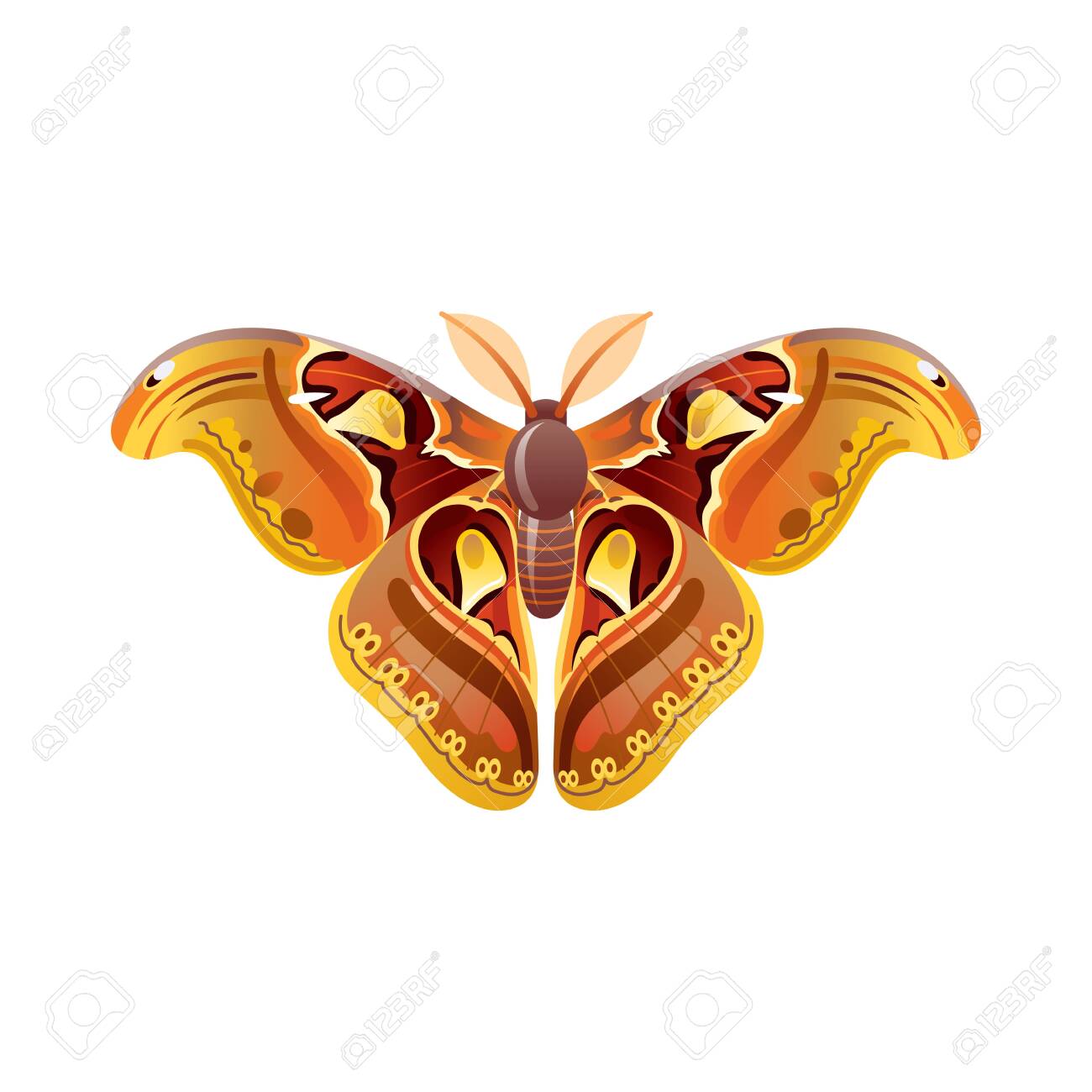 Download Butterfly Icon 3d Realistic Butterfly Insect With Beautiful Royalty Free Cliparts Vectors And Stock Illustration Image 132932187