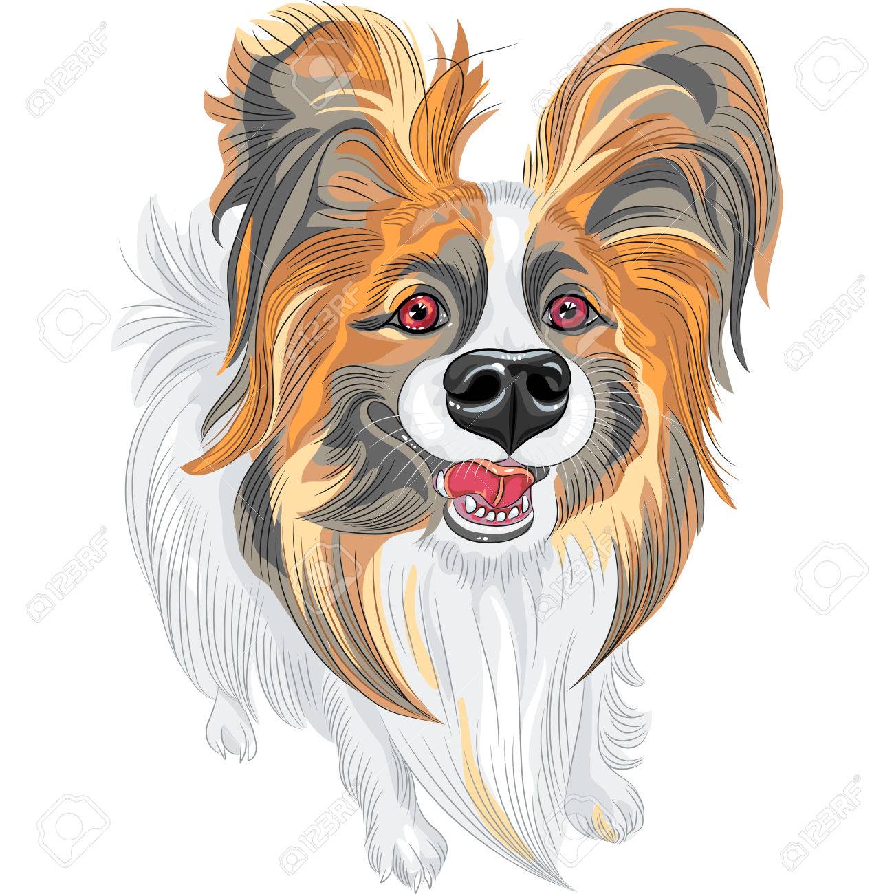 耳の長い毛むくじゃらのかわいい笑顔パピヨン赤と黒犬 のイラスト素材 ベクタ Image
