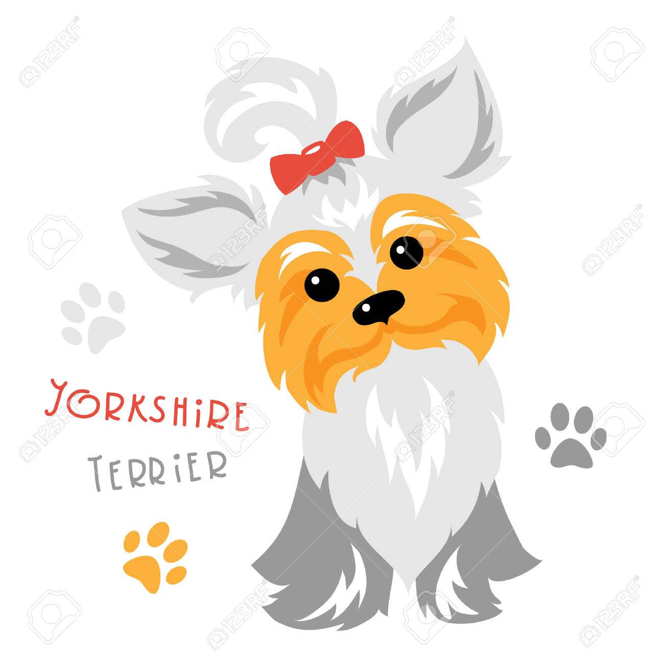 かわいい面白い犬銀青と淡いクリーム ヨークシャー テリアの座っています のイラスト素材 ベクタ Image