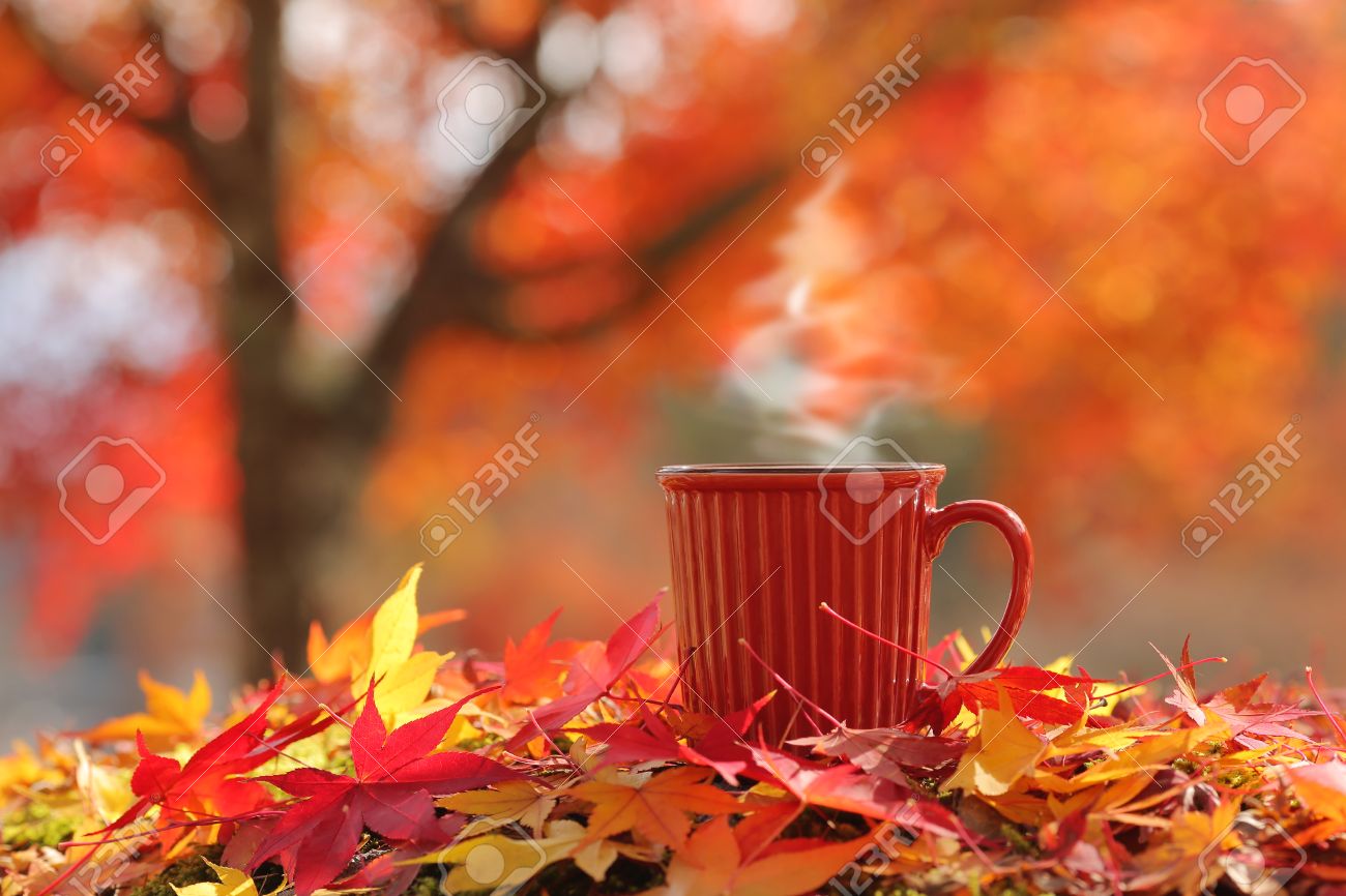 Caliente Humeante Taza De Café / Té En Hojas De Otoño Con Hermoso Árbol En  El Fondo. (Lugar Para El Texto, DOF Superficial). Fotos, retratos, imágenes  y fotografía de archivo libres de