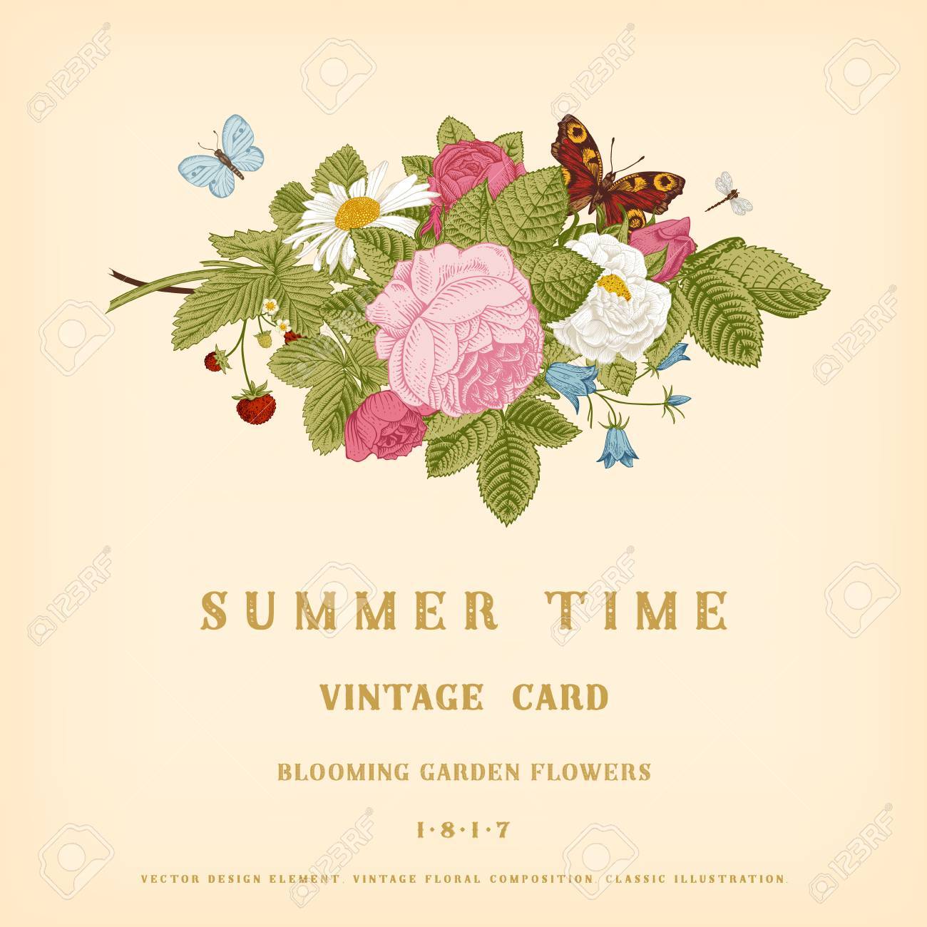 ピンクのバラは庭 イチゴ ベージュの背景に鐘の花の花束との夏ベクトル ビンテージ カード のイラスト素材 ベクタ Image