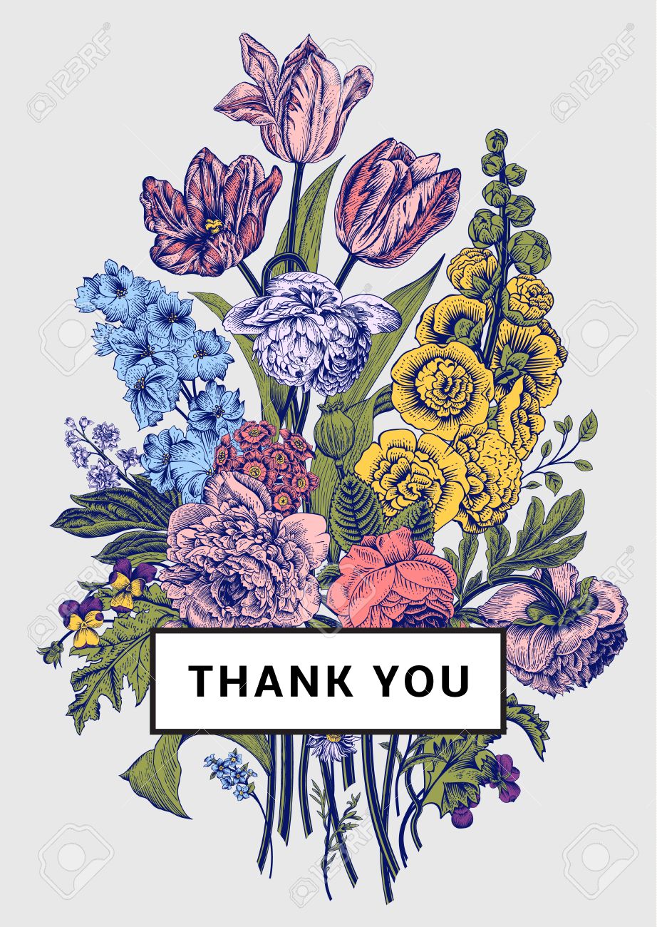 Vintage Floral Card Victorian Bouquet Colorful Peonies Mallow Royalty Free Cliparts Vectors And Stock Illustration Image 43466654