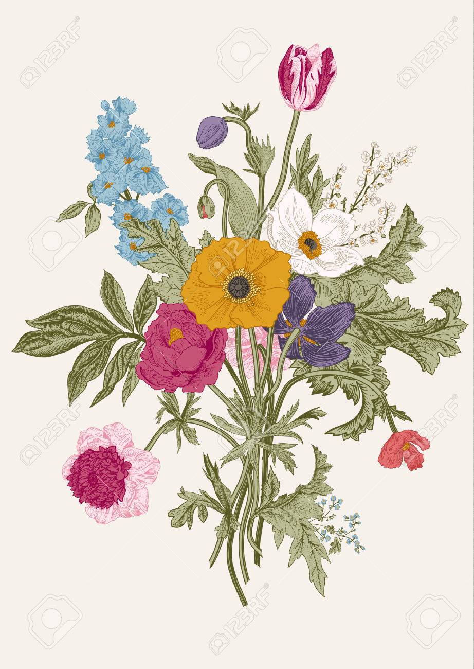 Victorian bouquet. Spring Flowers. Poppy, anemones, tulips, delphinium. Vintage botanical illustration. design element. - 55015509 Victorian bouquet. Spring Flowers. Poppy, anemones, tulips, delphinium. Vintage botanical illustration. design element. - 55015509
