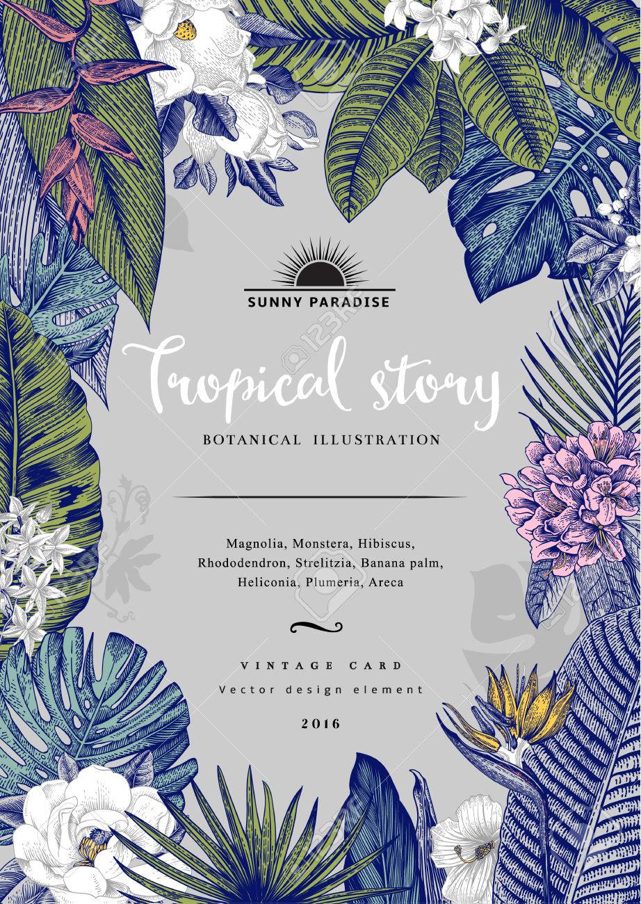 vintage card Botanical illustration. Tropical flowers and leaves. - 59921651 vintage card Botanical illustration. Tropical flowers and leaves. - 59921651