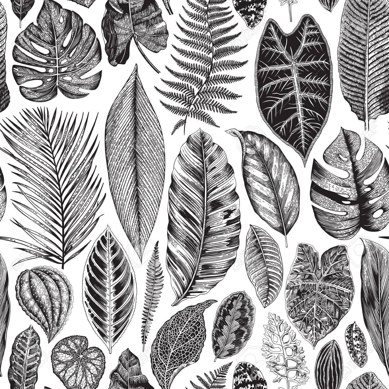 Vector seamless vintage floral pattern exotic leaves botanical