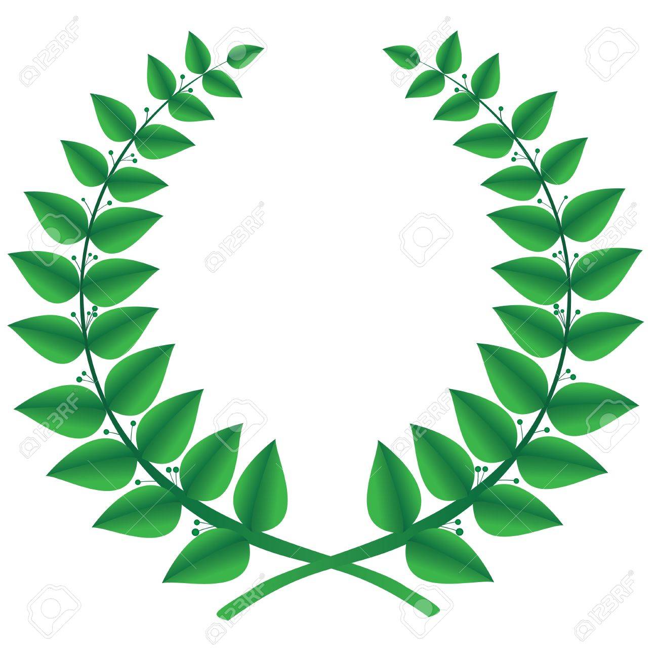 分離された緑月桂冠 ベクトル のイラスト素材 ベクタ Image