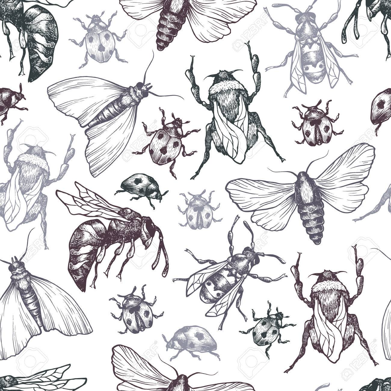 Hand Drawn Vector Pattern With Insects In Different Poses Moth