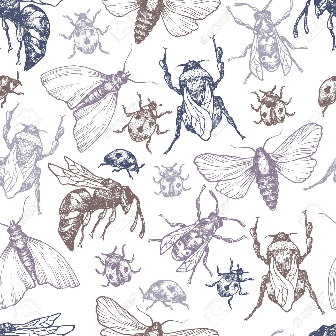 手は さまざまなポーズで昆虫とベクトル パターンを描画します 蛾 蝶 ミツバチ マルハナバチ てんとう虫 ベクター コレクション 詳細なリアルなスケッチ インク ペン 線図 のイラスト素材 ベクタ Image