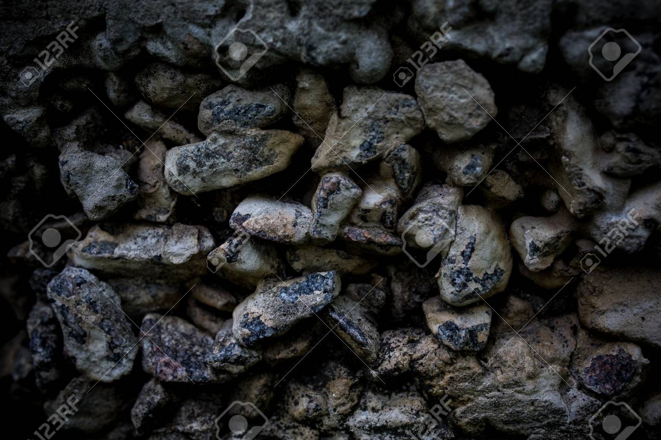 etiam-dictum-ipsum-a-felis