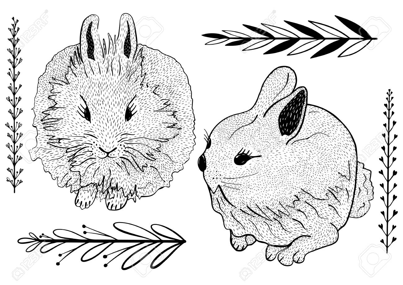 手描きかわいいウサギのセット ハッチング落書きスタイル のイラスト素材 ベクタ Image 手描きかわいいウサギのセット ハッチング落書きスタイル のイラスト素材 ベクタ Image
