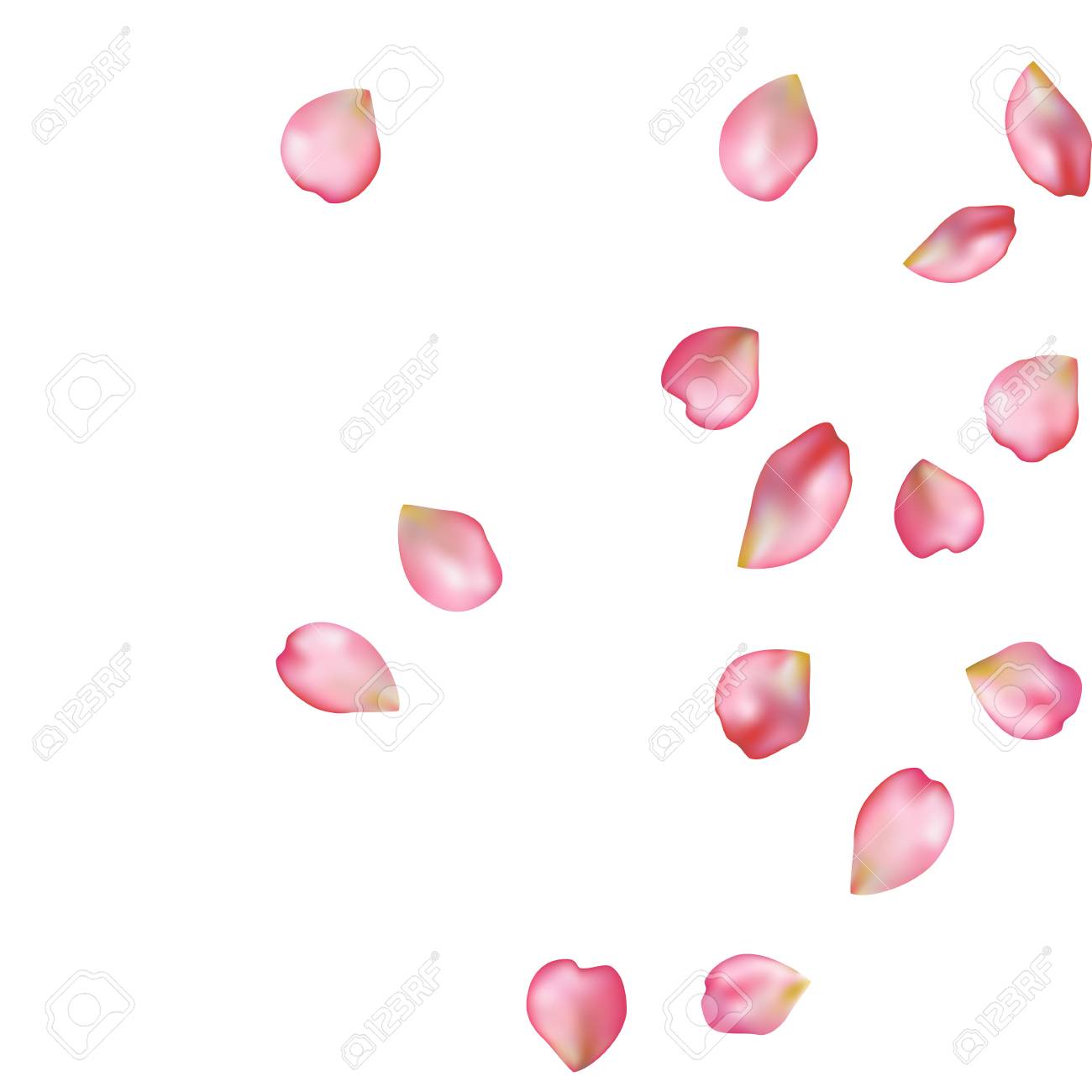 spring flower petals blossoms blank background template royalty spring flower template