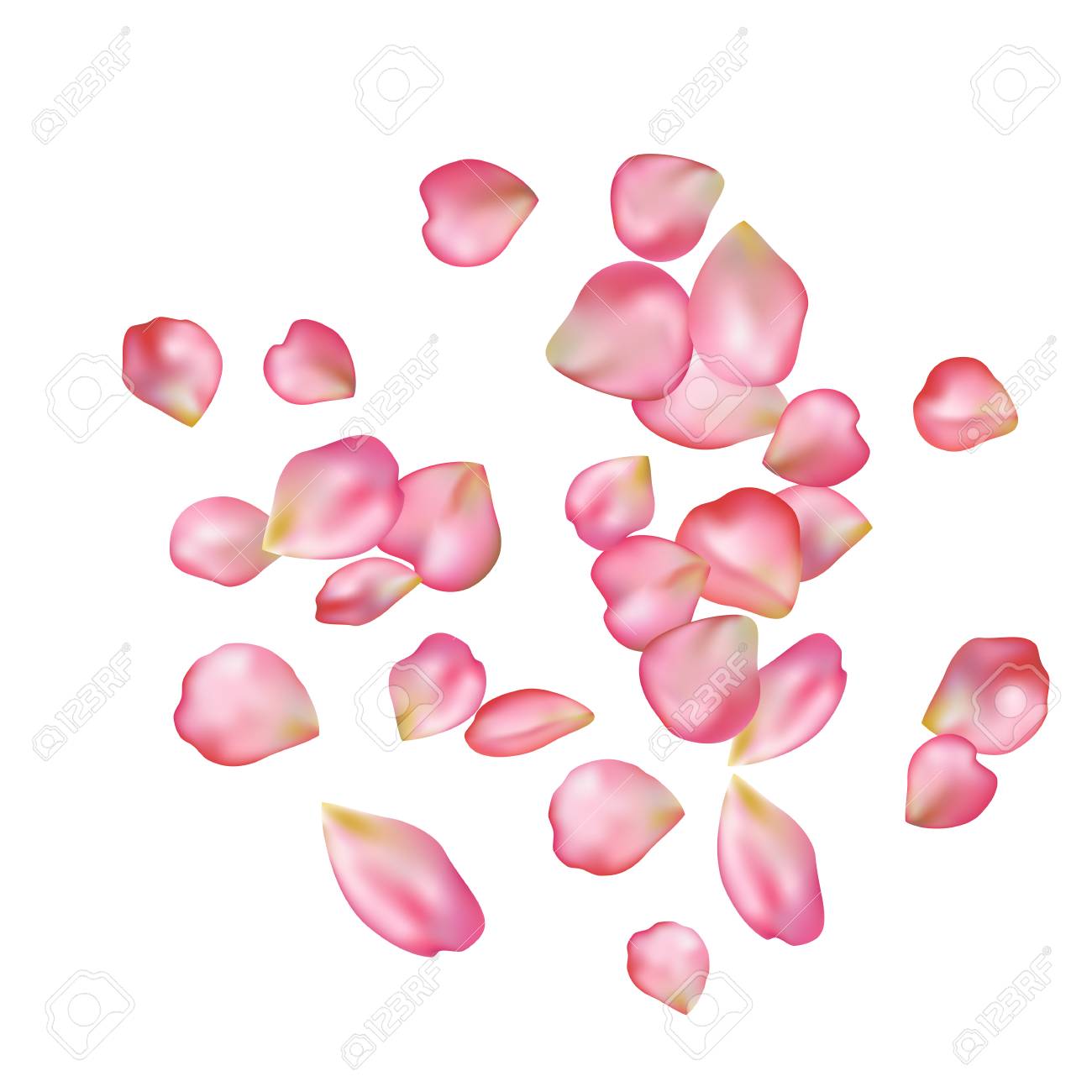 spring flower petals blossoms blank background template royalty spring flower template
