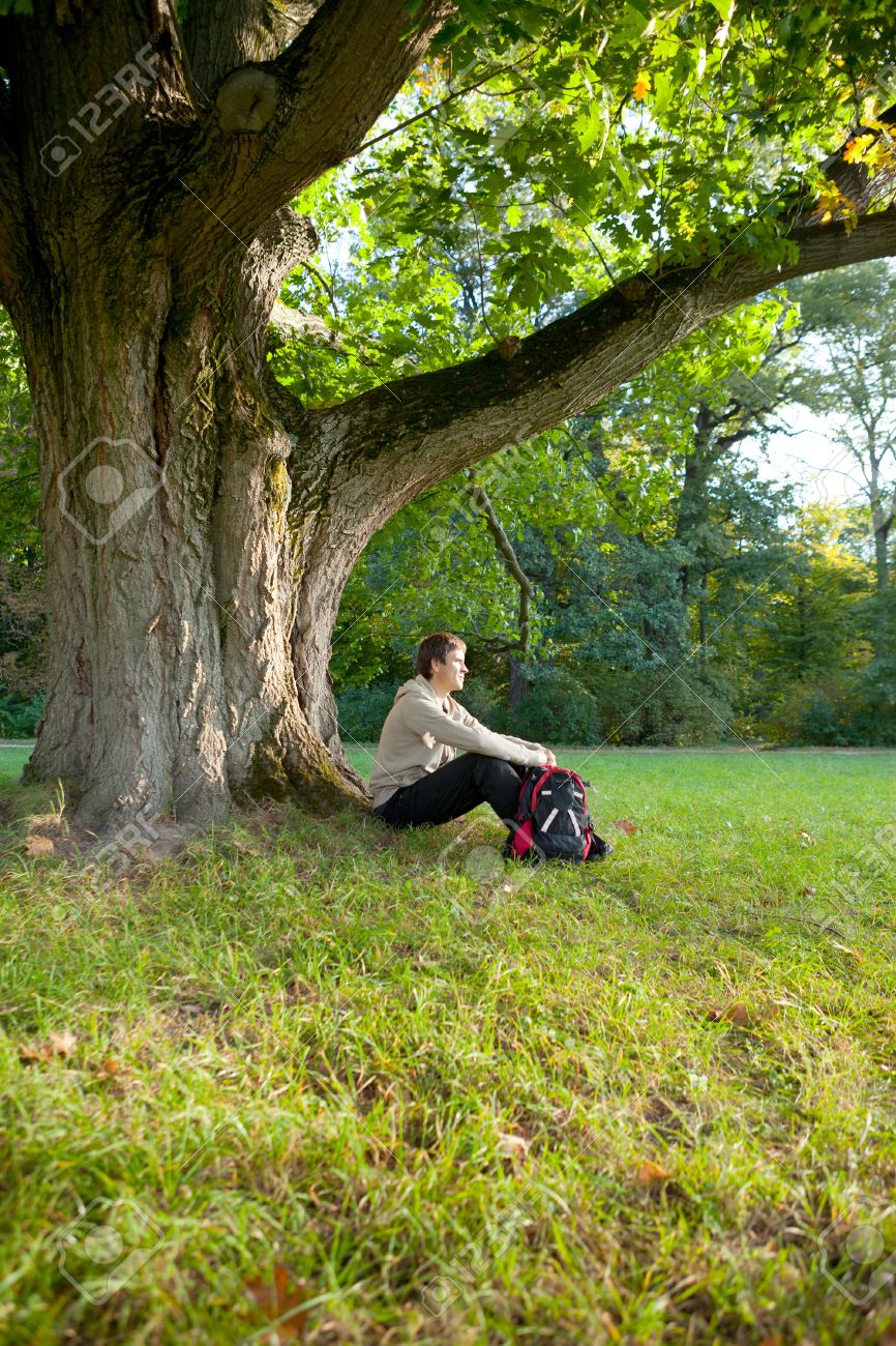 Man Is Sitting Resting Under A Large Old Oak Tree Stock Photo, Picture And Royalty Free Image. Image 15783968.