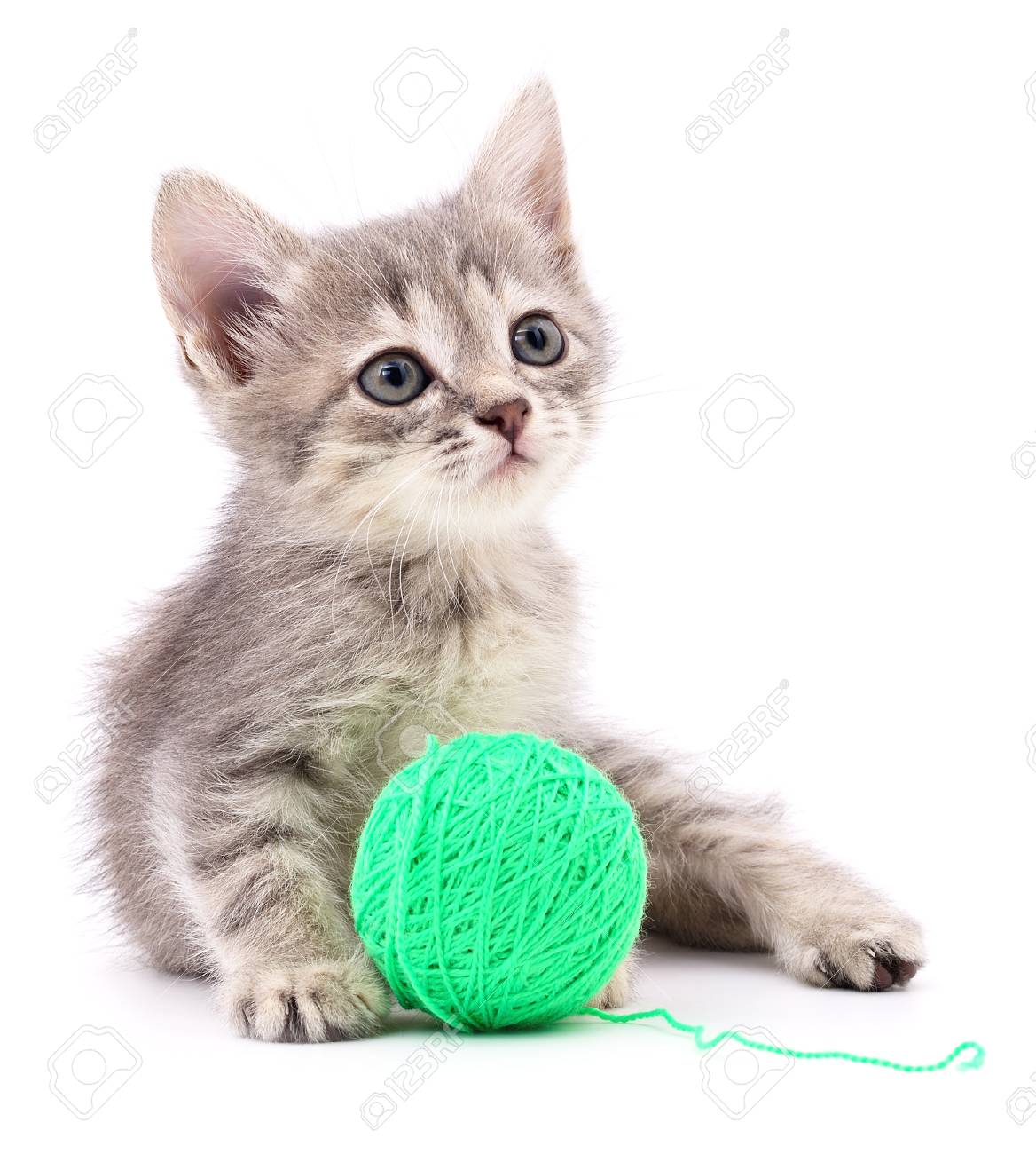 kitten ball of yarn