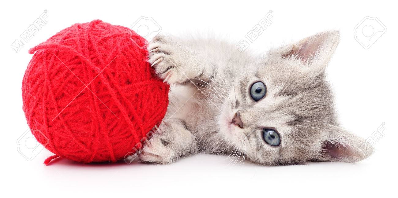 kitten ball of yarn