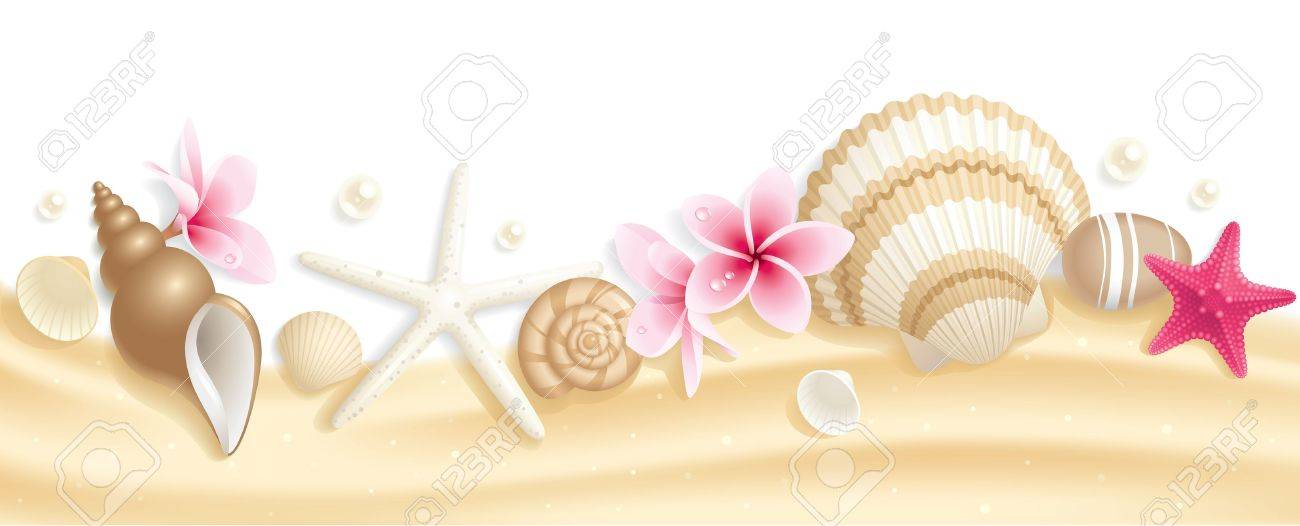貝殻およびヒトデ 砂の上の夏のヘッダーのイラスト素材 ベクタ Image